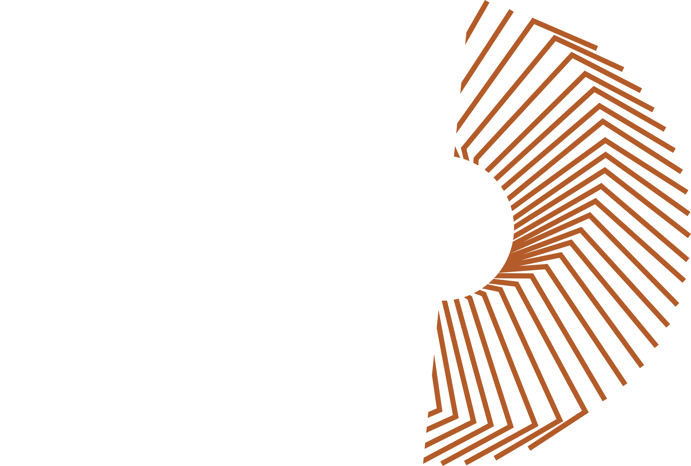Cinéma Le Douron